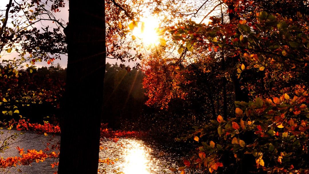 Sonnenuntergang am Schmalsee