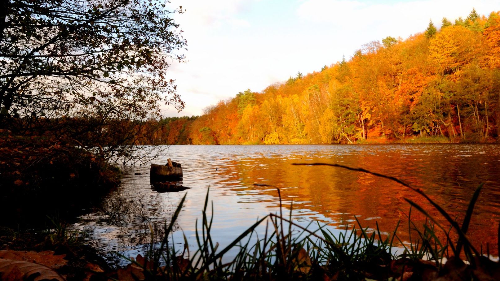 Herbstlicher Blick auf den See