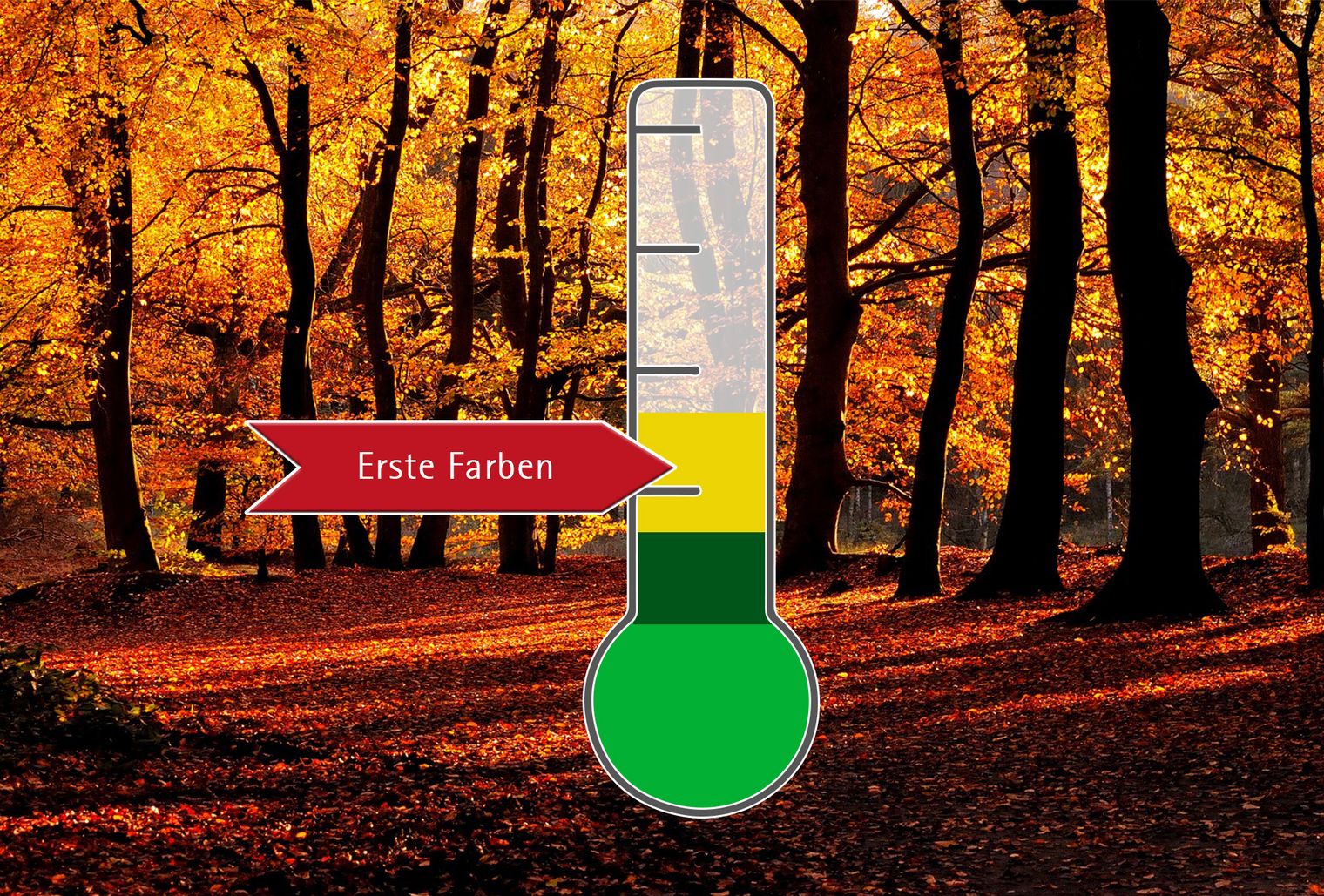 Indiansummerbarometer zeigt erste Farben